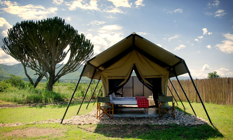 Camping in Queen Elizabeth National Park - Safari Guide