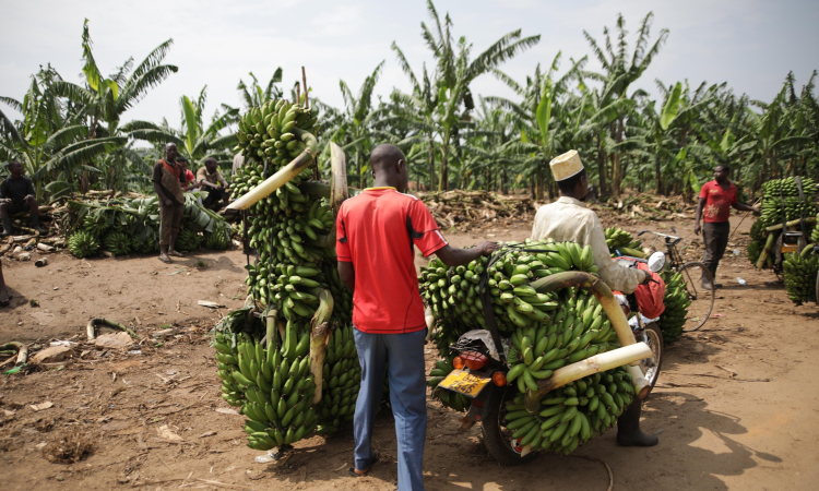 Community Tours in Queen Elizabeth National Park, Uganda