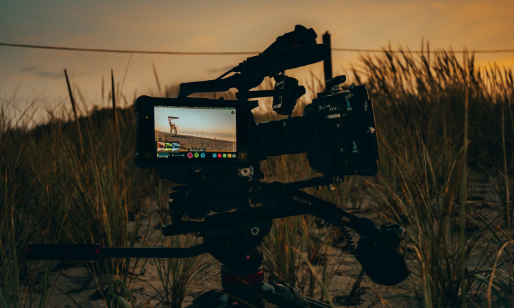 Filming in Queen Elizabeth National Park - A Complete Guide