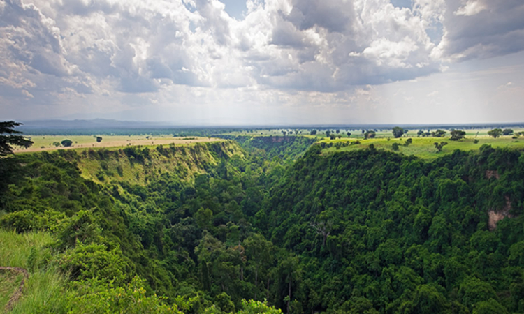 Kyambura Gorge in Queen Elizabeth National Park