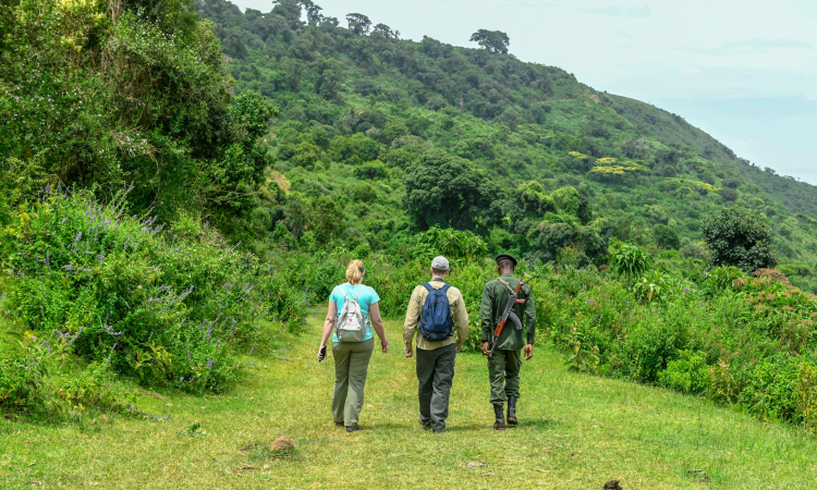 Nature Walks in Queen Elizabeth National Park, Uganda