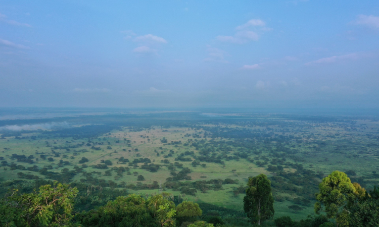 Queen Elizabeth National Park in August - Travel Guide
