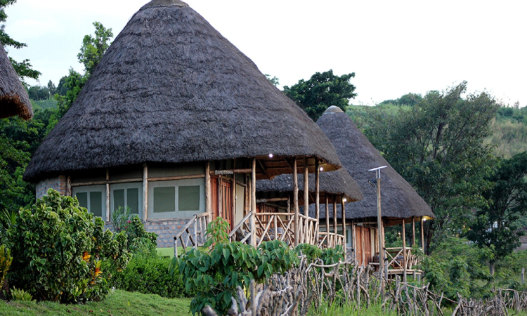 Elephant Hab Lodge – Mid-Range Stay Near Kyambura Gorge in Queen Elizabeth