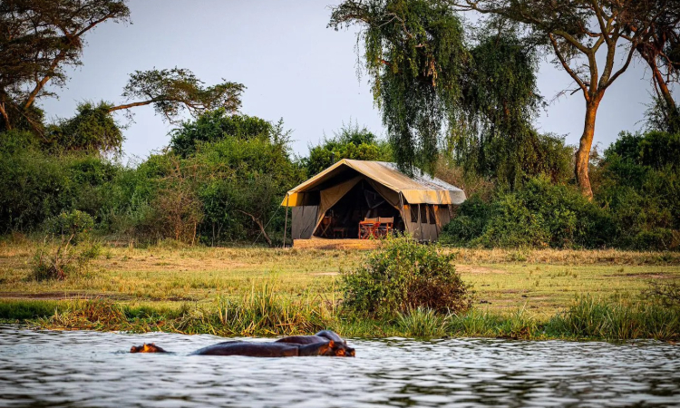 Honeybear Bush Camp – Quiet Stay with Wildlife Views in Queen Elizabeth