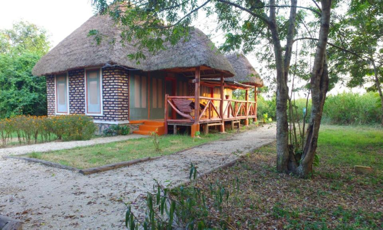 Irungu Forest Safari Lodge - Stay in Queen Elizabeth Park
