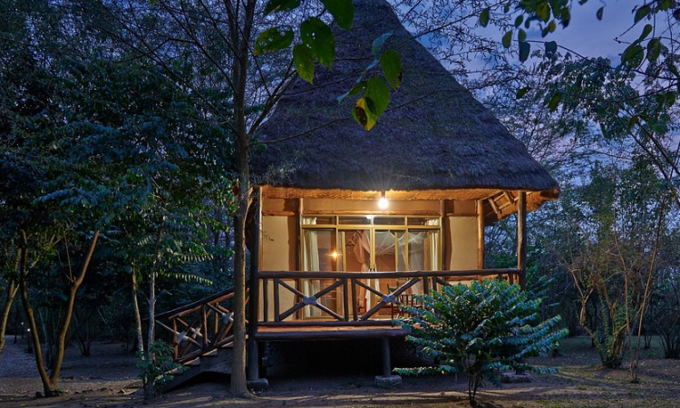 Ishasha Jungle Lodge – Stay Near Tree-Climbing Lions in Queen Elizabeth National Park