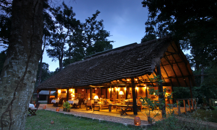 Ishasha Wilderness Camp - Luxury Stay in Queen Elizabeth Park