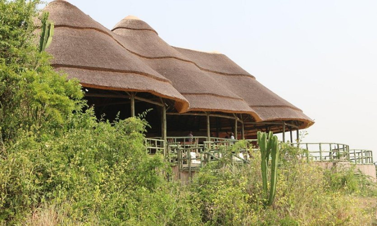 Kasenyi Safari Camp – Experience Wildlife in Queen Elizabeth Park