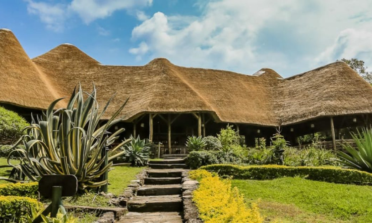 Katara Lodge – Comfortable Accommodation Near Queen Elizabeth Park