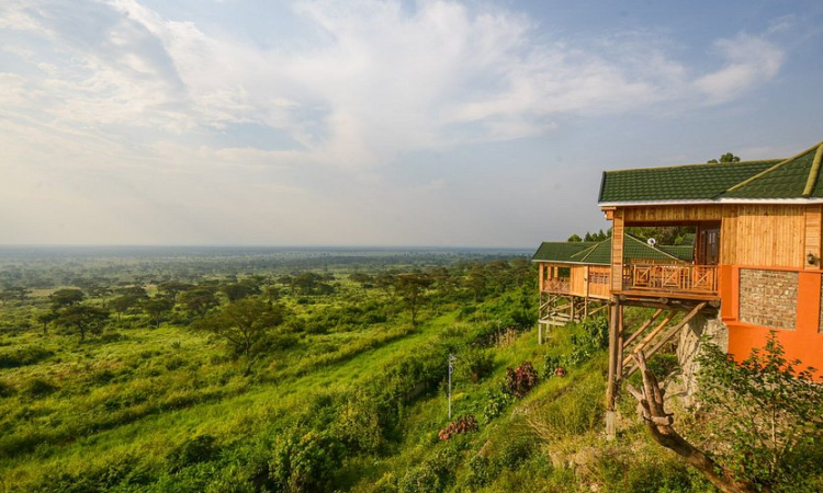 Park View Safari Lodge - Luxury Stay Near Queen Elizabeth Park