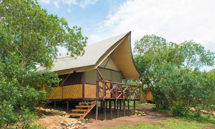 Queen Elizabeth Bush Lodge – Eco-Friendly Stay in Queen Elizabeth Park