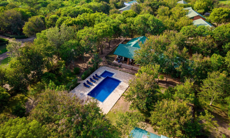 Simba Safari Camp – Stay Near Queen Elizabeth National Park