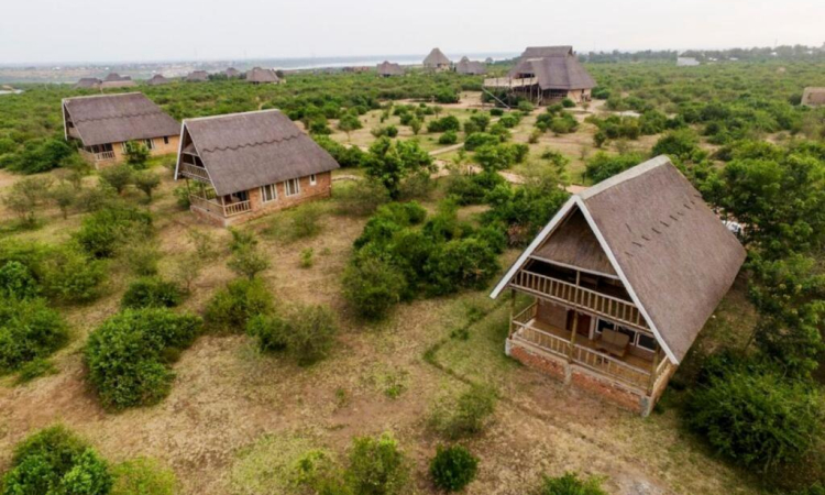 Tabingi Safari Lodge – Stay Near Queen Elizabeth National Park