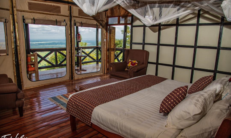 Twin Lakes Safari Lodge – Comfortable Stay Near Queen Elizabeth Park